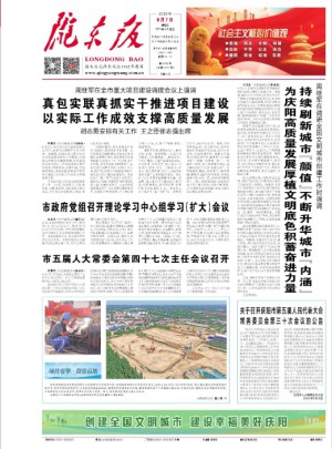 陇东报